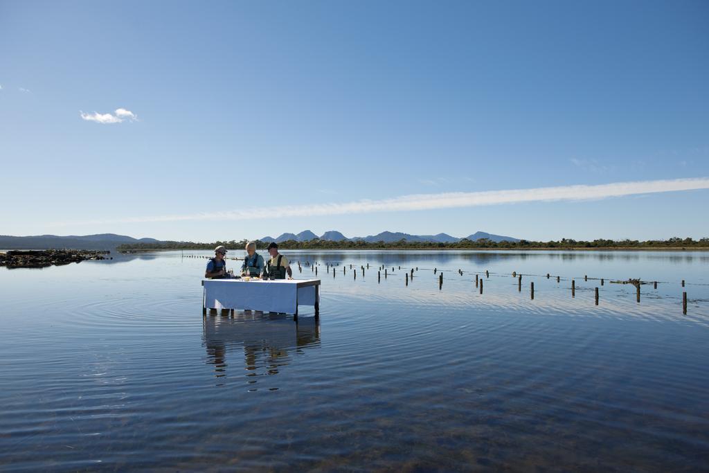 Hotel Saffire - Freycinet Coles Bay Zewnętrze zdjęcie